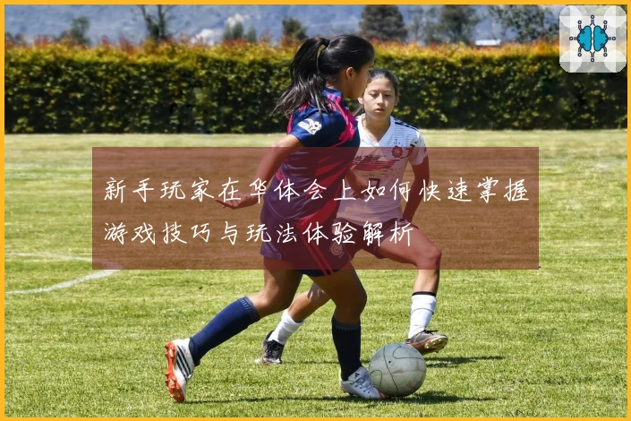 新手玩家在华体会上如何快速掌握游戏技巧与玩法体验解析